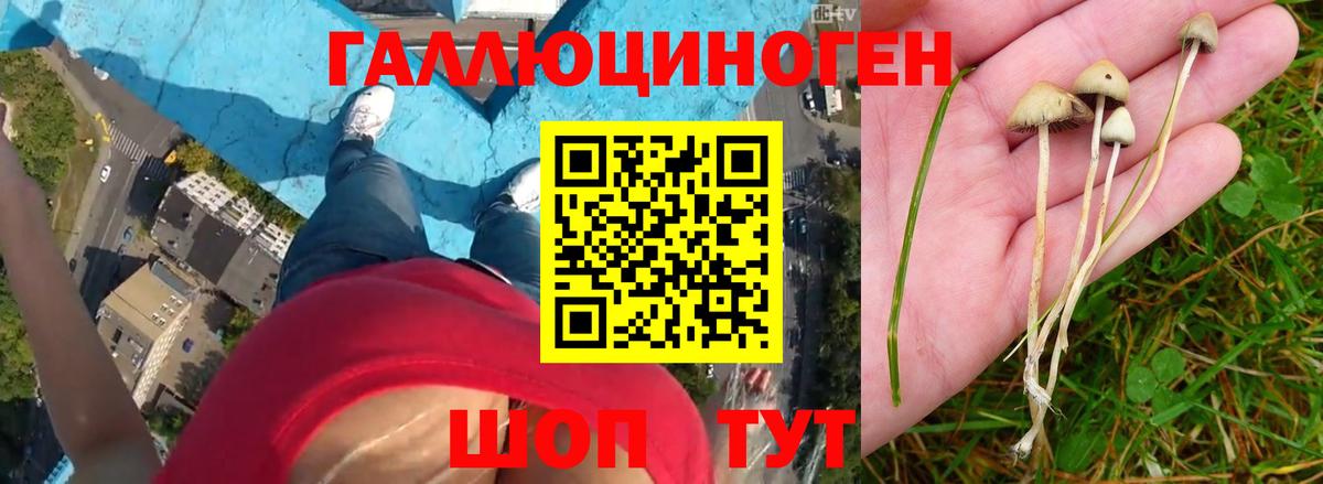 Волгоград  Псилоцибиновые грибы Magic Shrooms  Галлюциногенные грибы Cubensis  Вход с VPN 